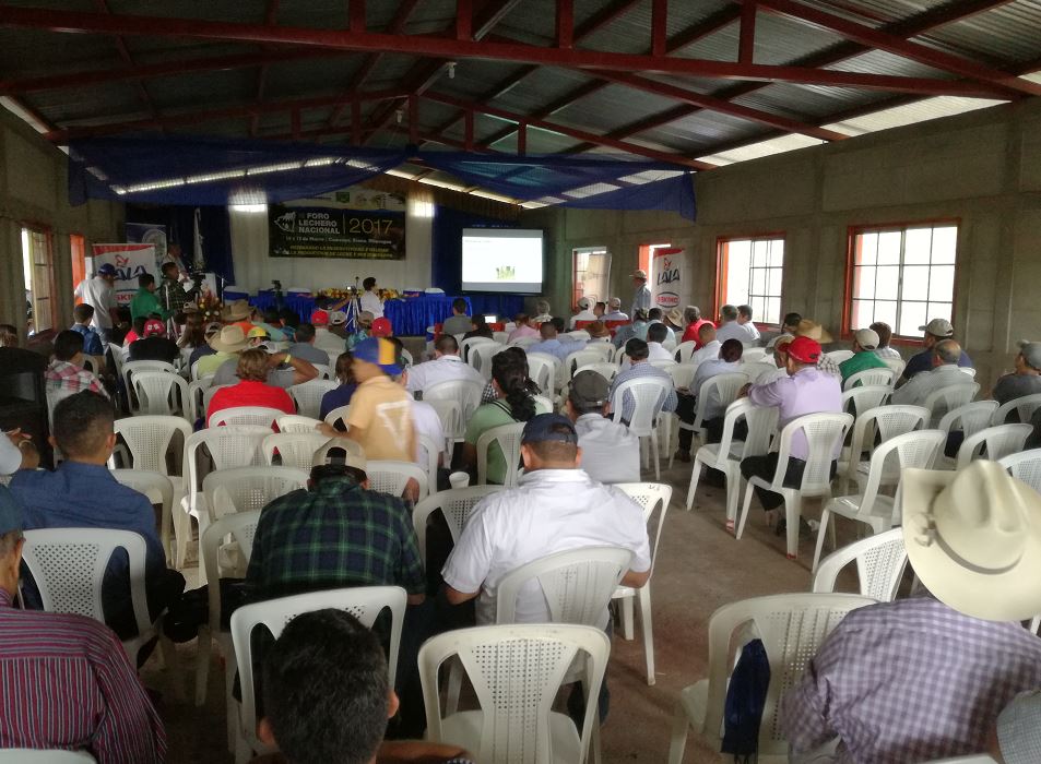 Camoapa: Urge mejorar calidad y productividad de leche