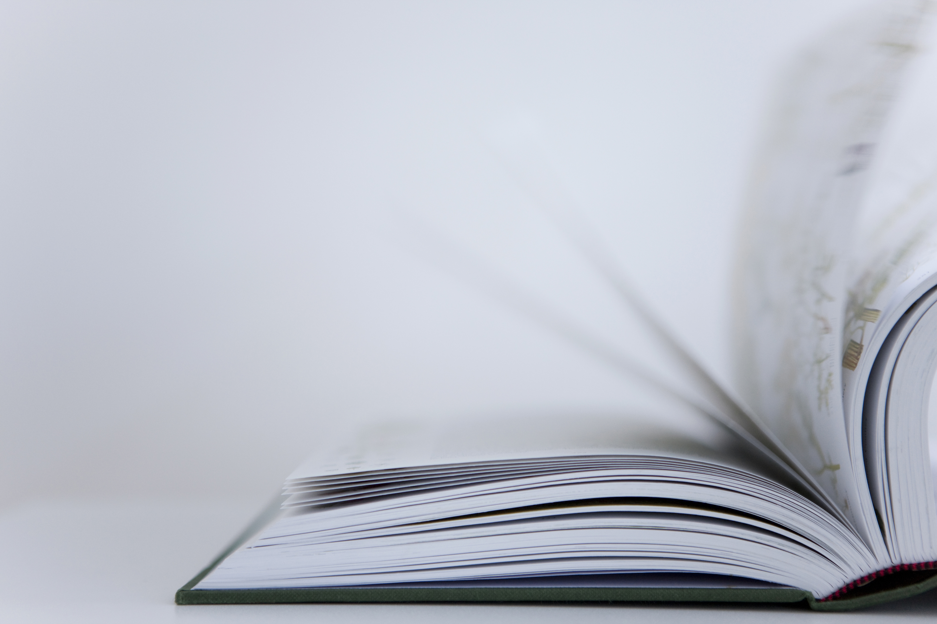 Libro rompe censura en Corea del Norte