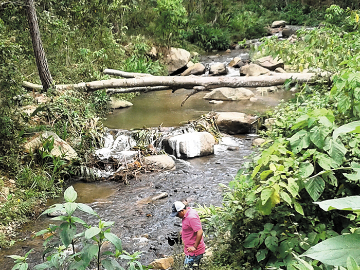 Proyecto busca preservar el río Dipilto