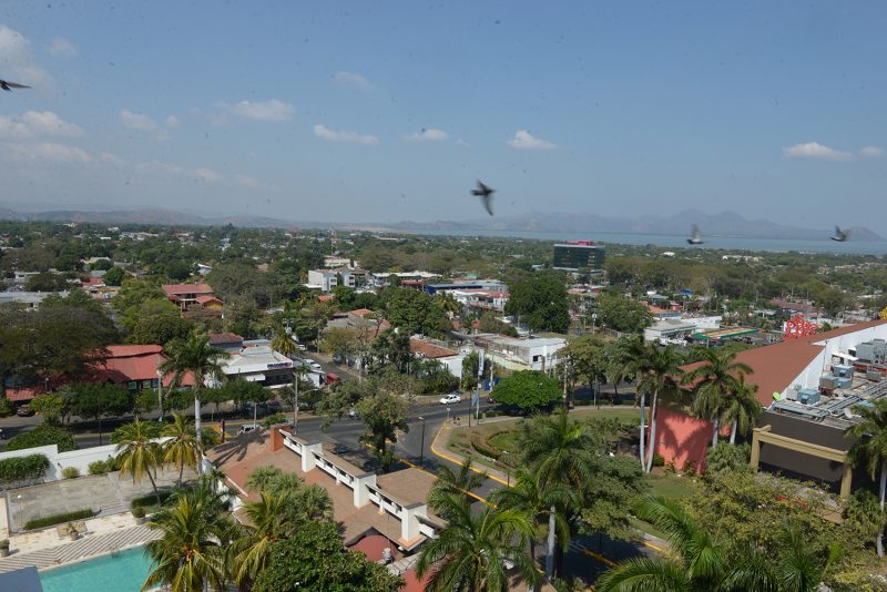 Arquitecto propone jardines urbanos para Managua