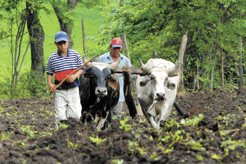 Sector privado: “Ni un centavo” más para salvar al INSS