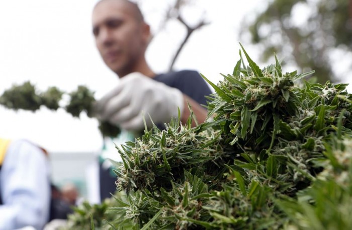 México aprueba el uso medicinal de la marihuana