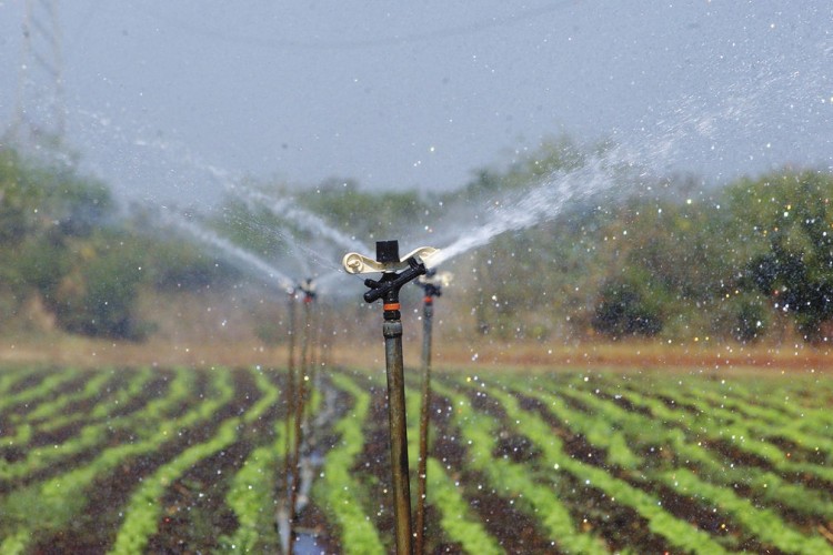 Centro Humboldt pide a empresarios ser más conscientes en la protección ambiental