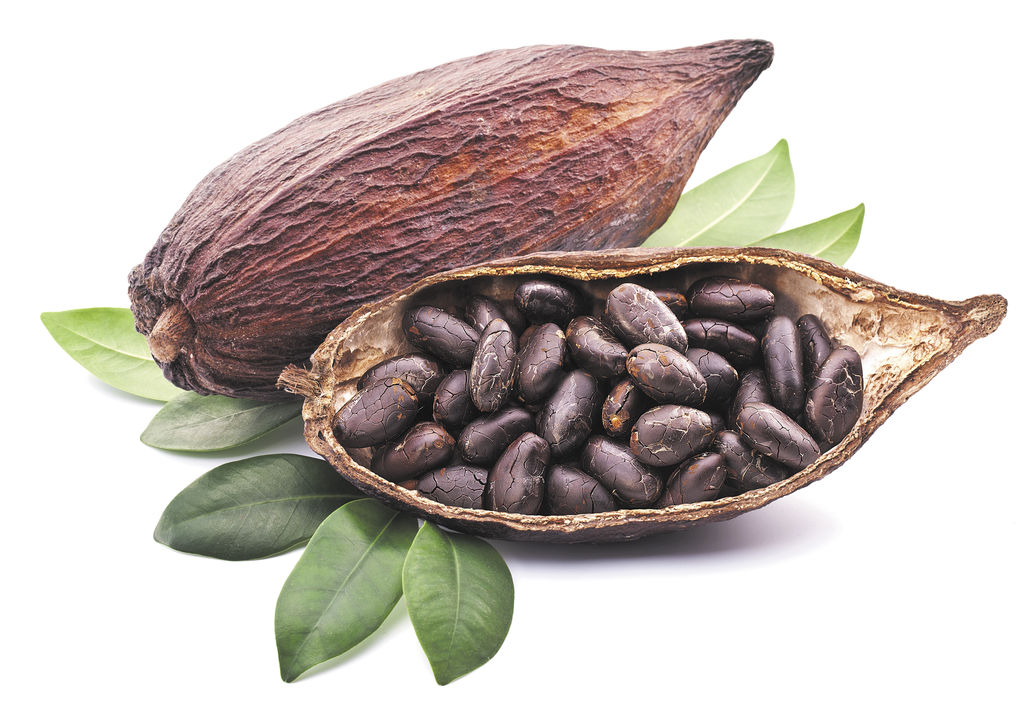 Cacao