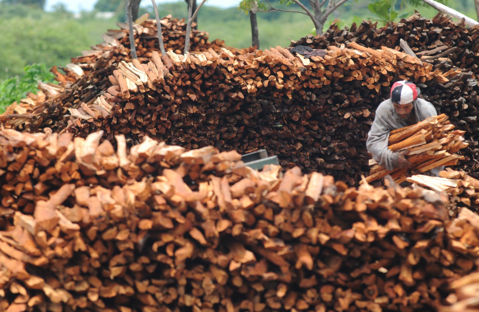 Protegerán reservas del suroeste de Nicaragua
