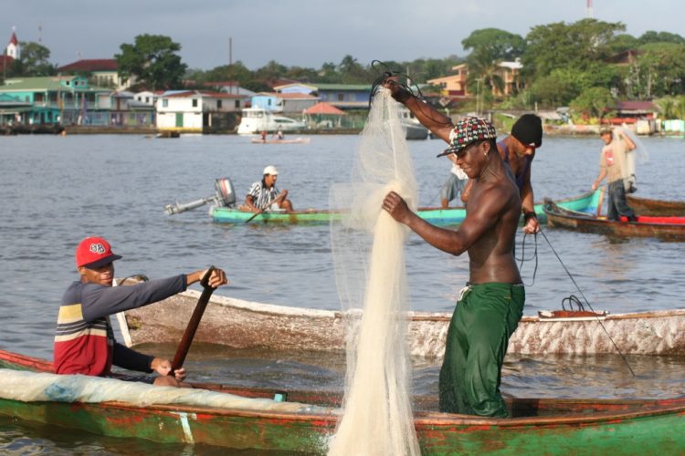 afrodescendiente, Bluefields, territorio