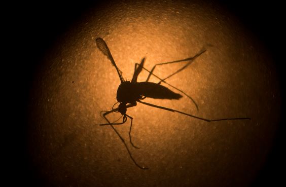 malaria, Nicaragua, lluvias