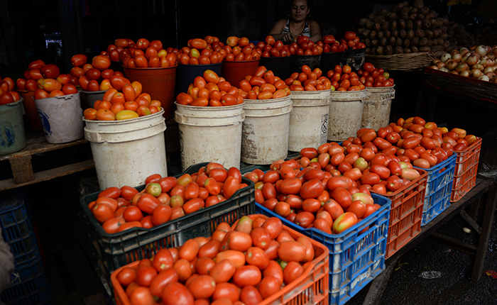 Tomate, cebolla y chiltoma a bajo precio en mercados de Managua