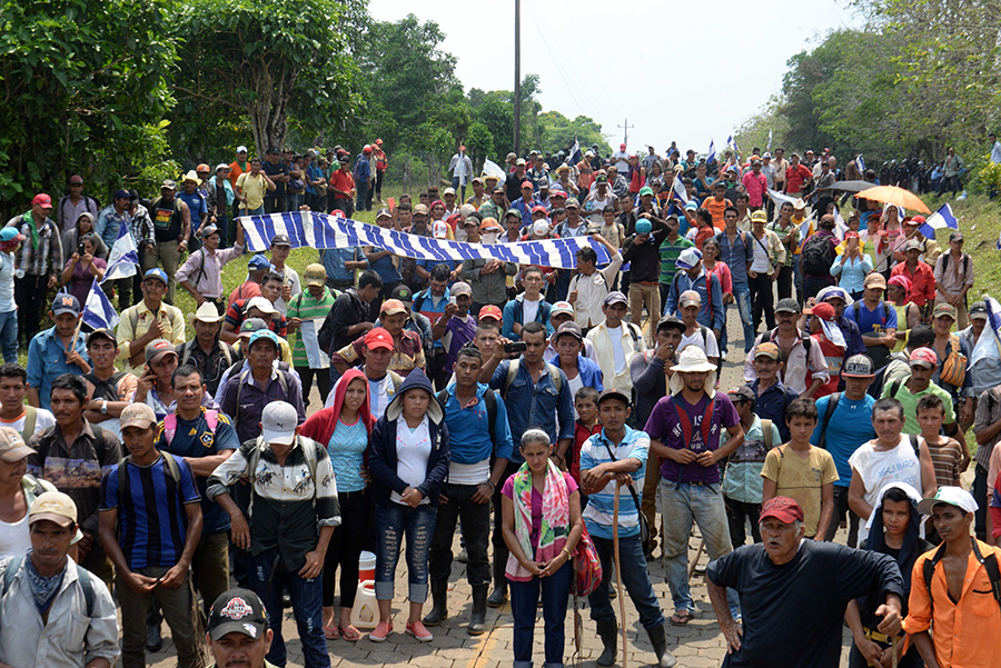 Campesinos dudan de intención del PLC sobre Ley 840