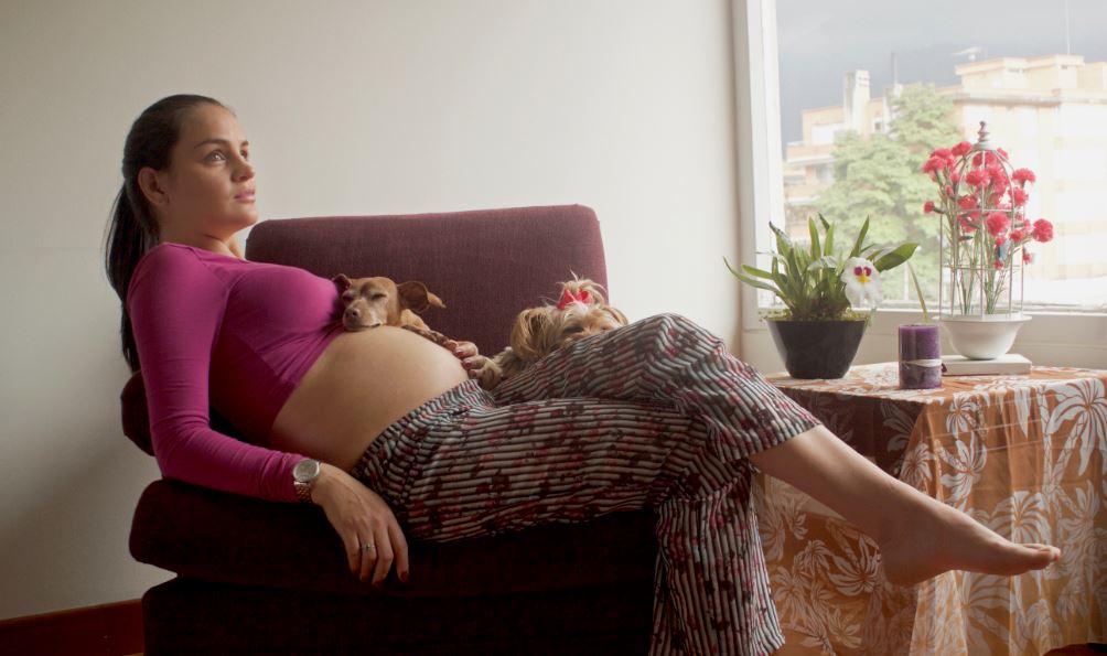 Entre el bebé y su mascota