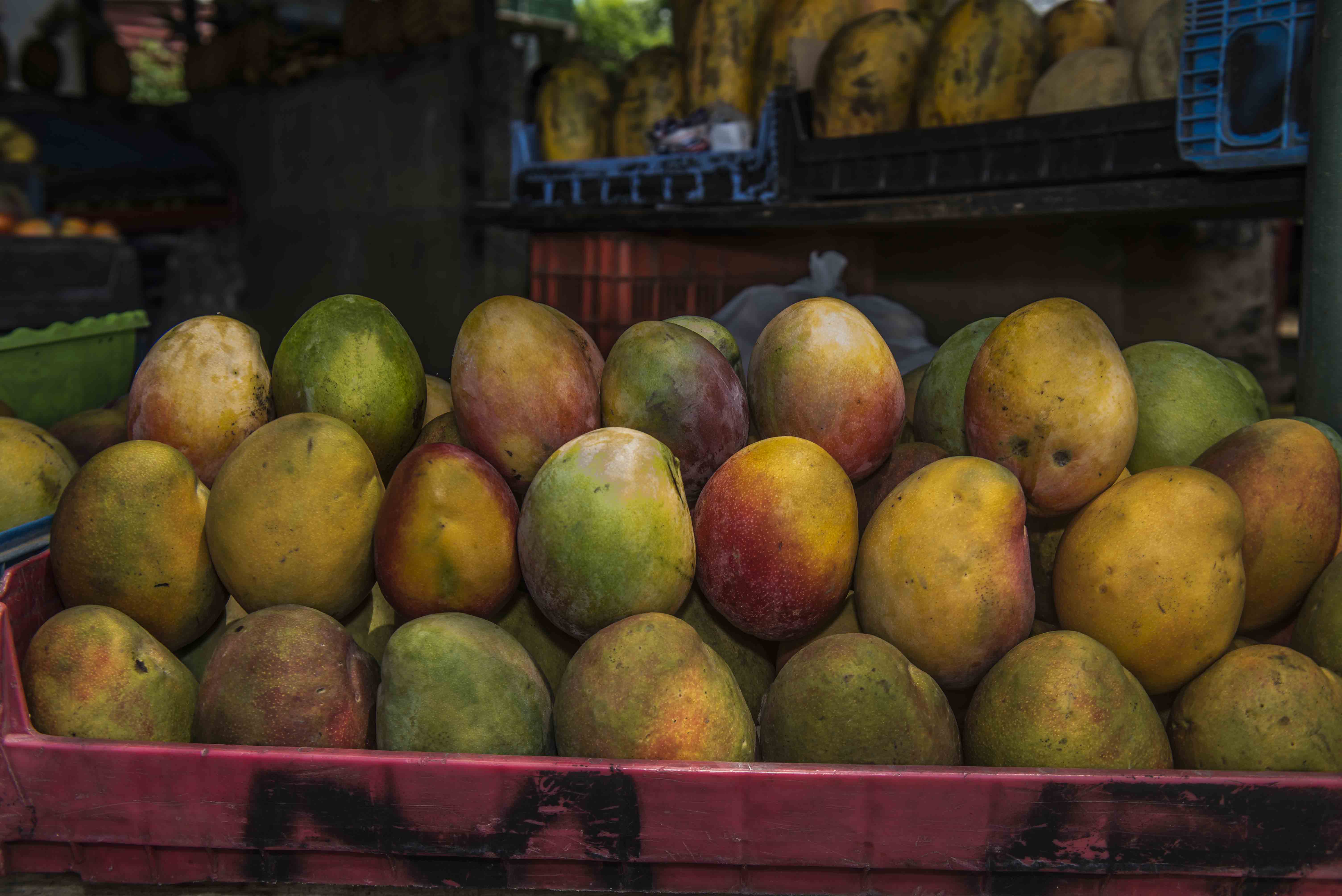 mangos, mango,