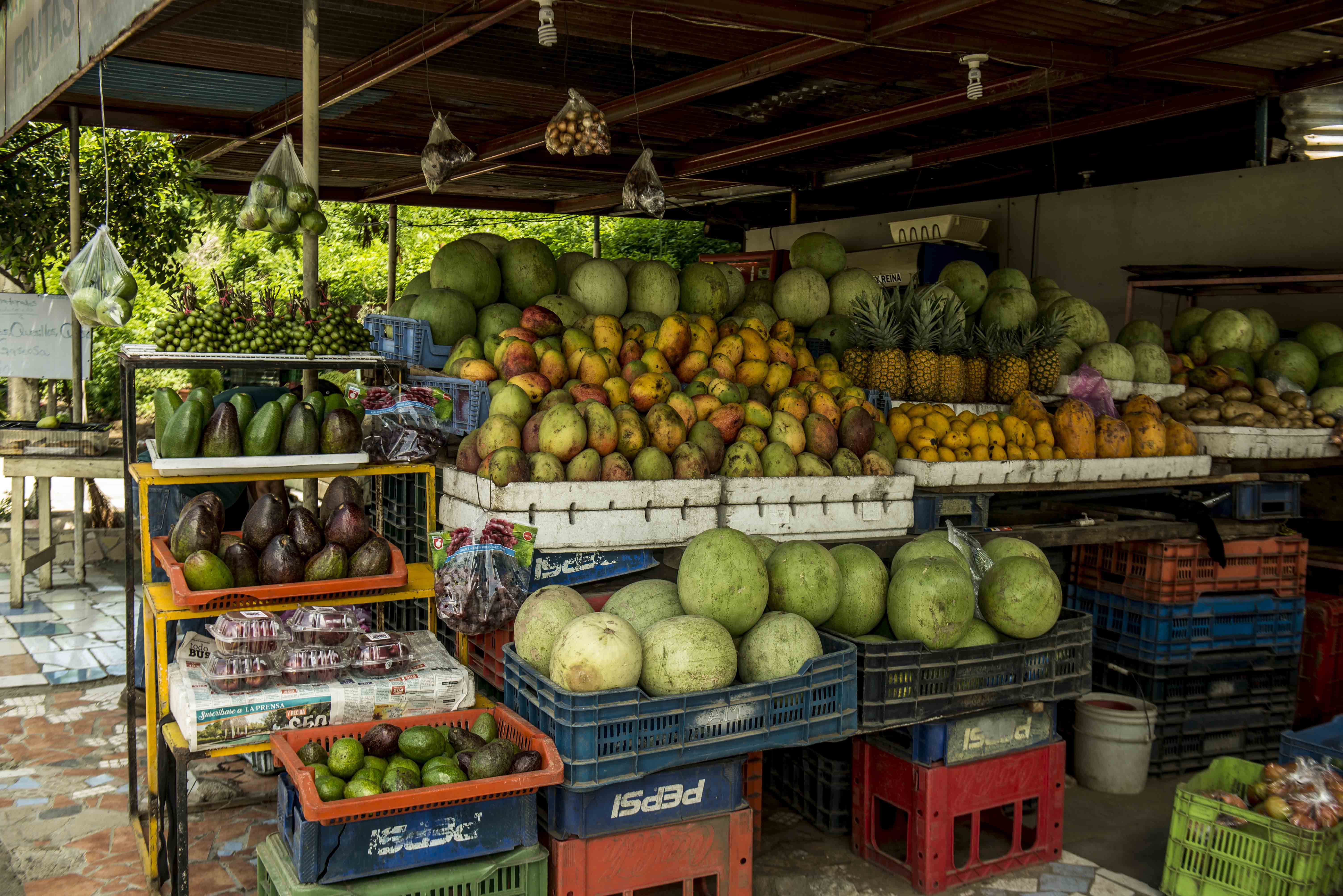 frutas, frutas de temporada, Managua