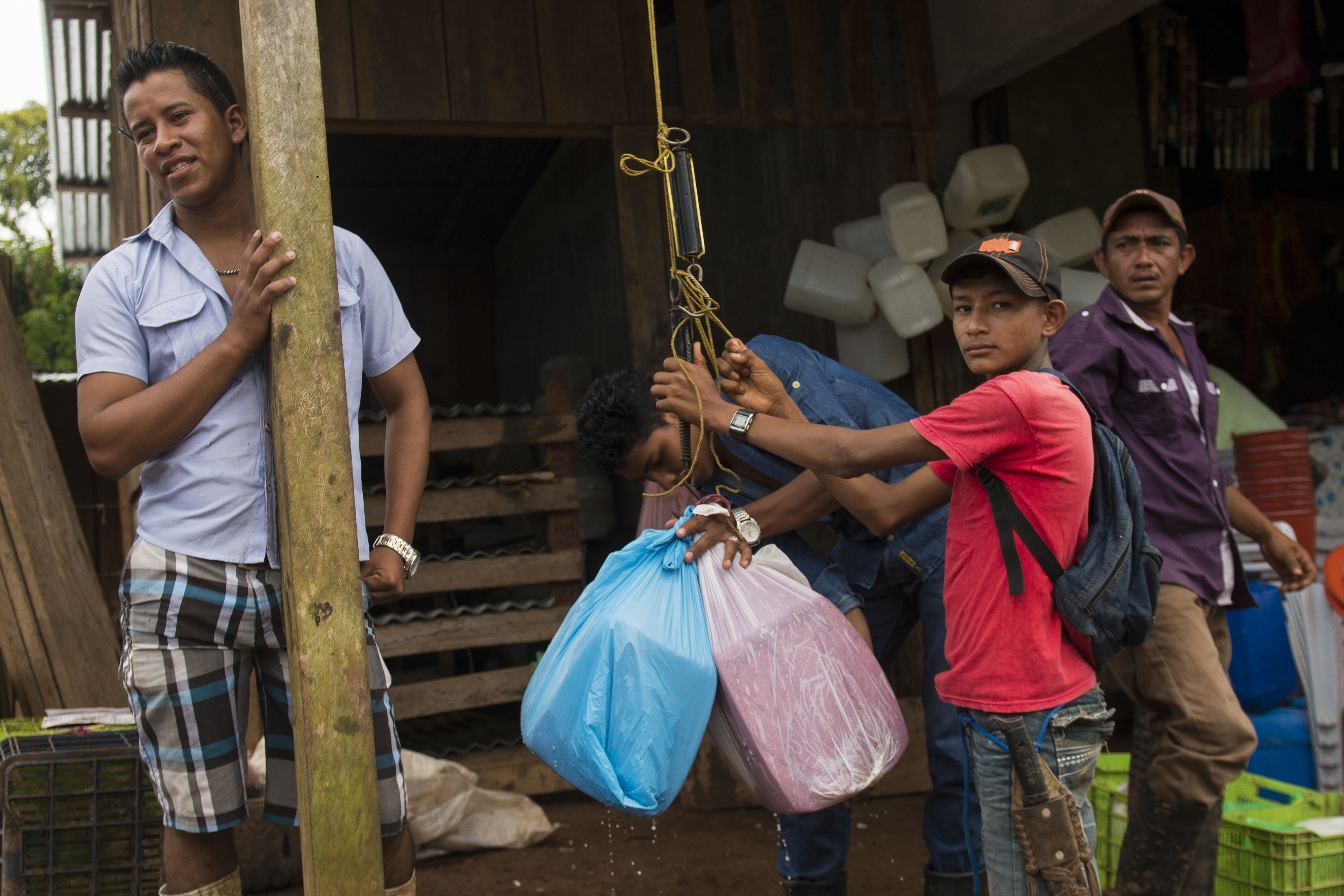 Compradores de queso de la zona están pagando de 15 a 20 la libra de queso a los campesino que bajan de las comunidad Salvadorita conocida como la 19, del distrito de puerto Principe, donde opera un puerto de montaña campesinos de las comarcas de el Colorado, Los Angeles de Masayon, Masayita, San Isidro y Nuevo San Isidro bajan con productos como el queso, vegetales y carne pero en esta semana fue muy poca la participacion por que la mayoria lo hace con queso y el problema fue por los precios que se estaban pagando que eran demaciado baratos para el gasto que se hacia a la hora de la elaboracion la compra de la leche y el traslado. foto Jader Flores /LA PRENSA
