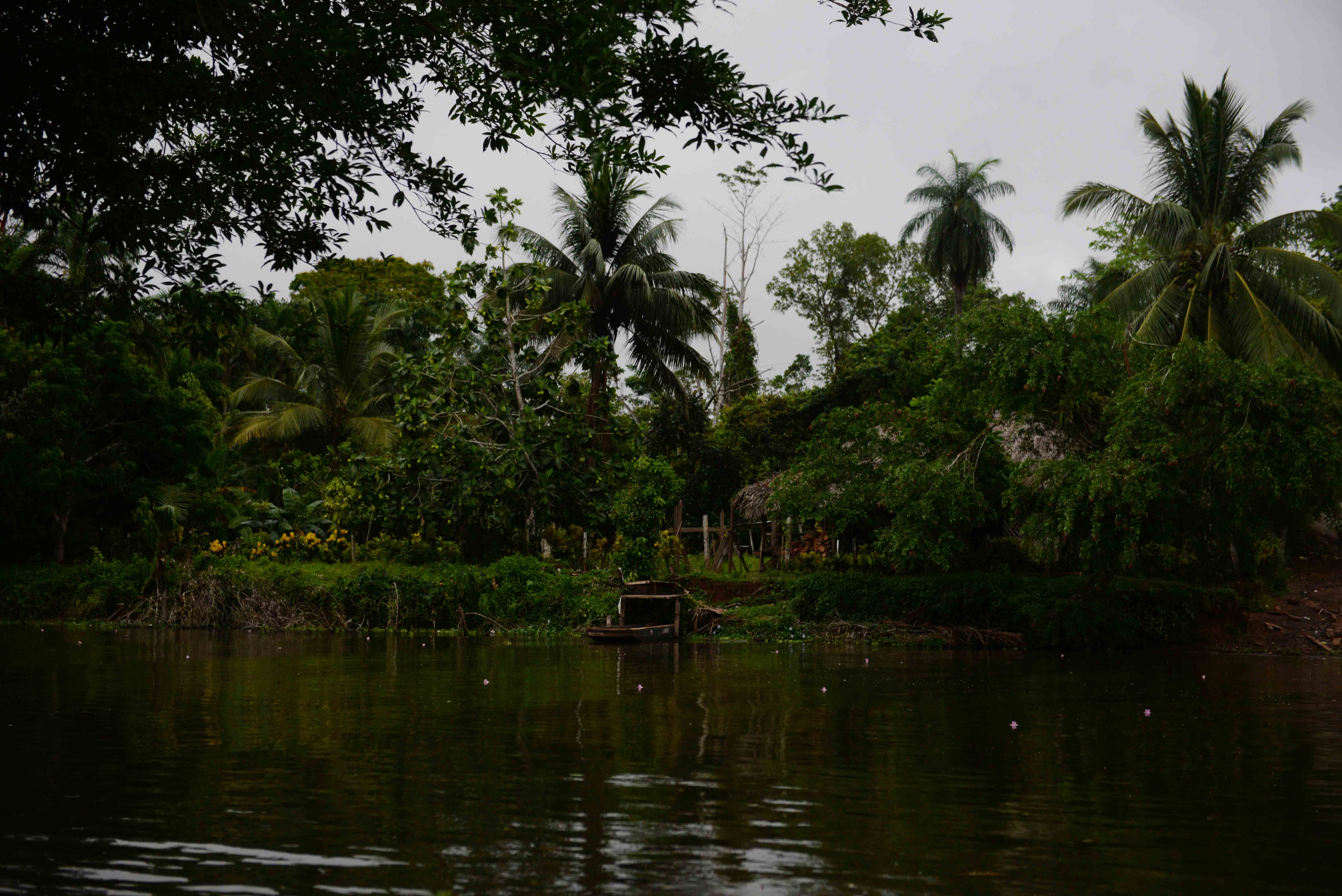 Río San Juan, río Sábalos, Boca de Sábalos, El Castillo
