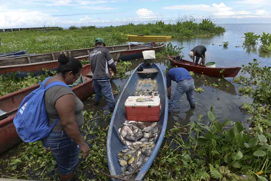 El Tule, San Miguelito, Nueva Guinea, río San Juan
