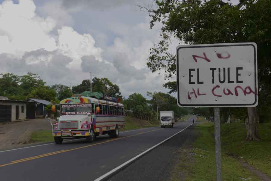 El Tule