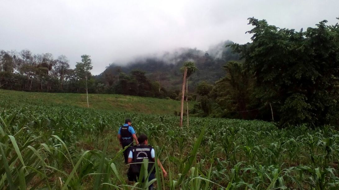 Violan y abandonan en un cafetal a una bebé de trece meses en El Cuá, Jinotega