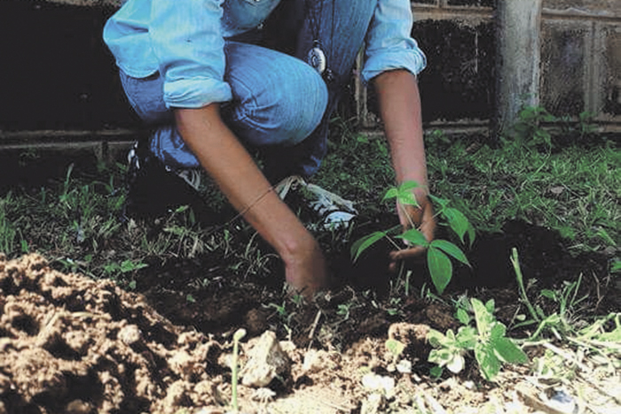 Realizan jornada de reforestación en Diriamba
