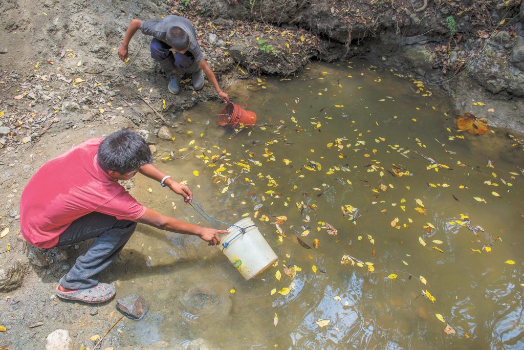 Plataforma Nacional en Defensa del Agua y la Vida promueve cosecha e infiltración de agua