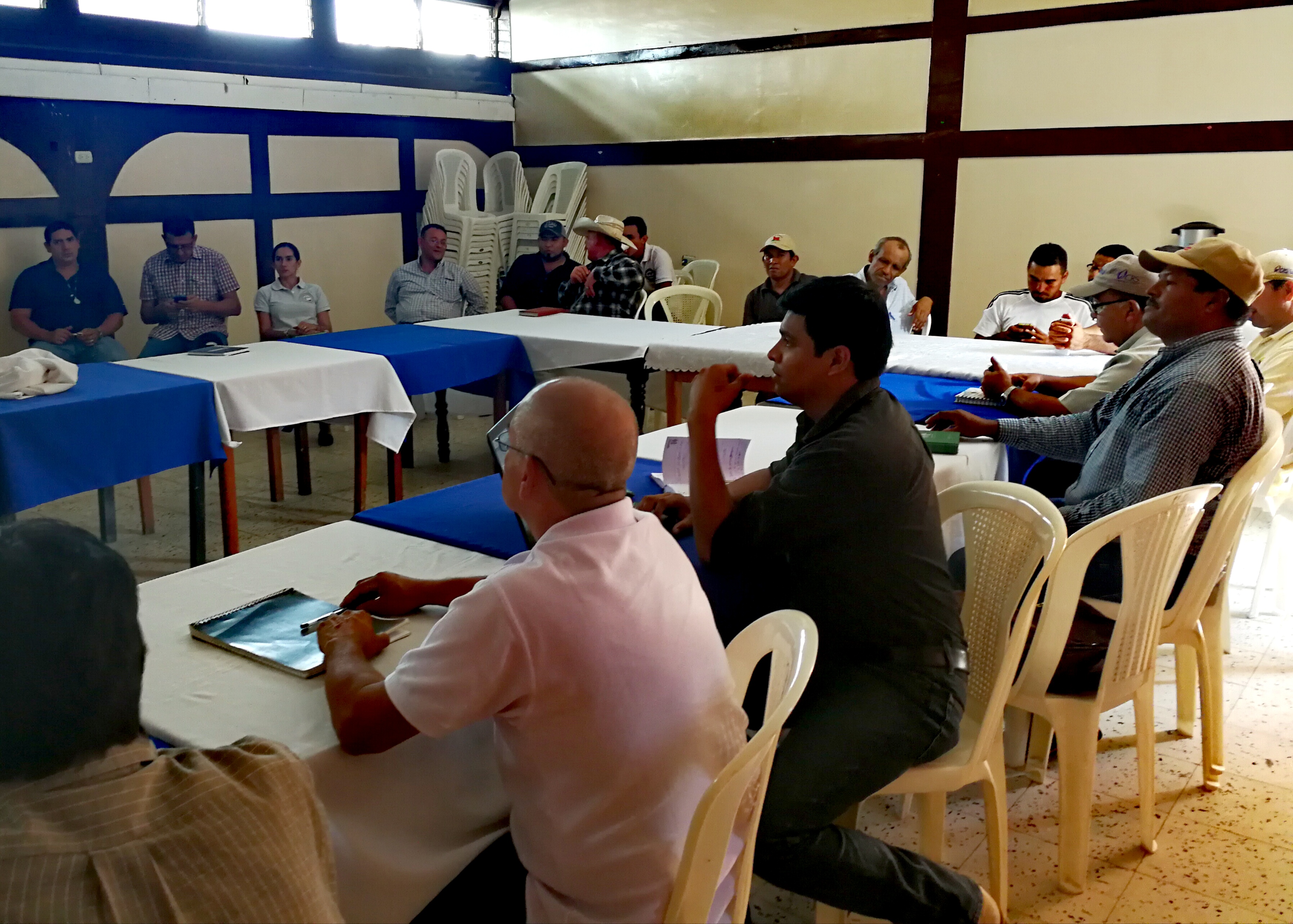 Nace Alianza de Asociaciones Ganaderas de Las Segovias