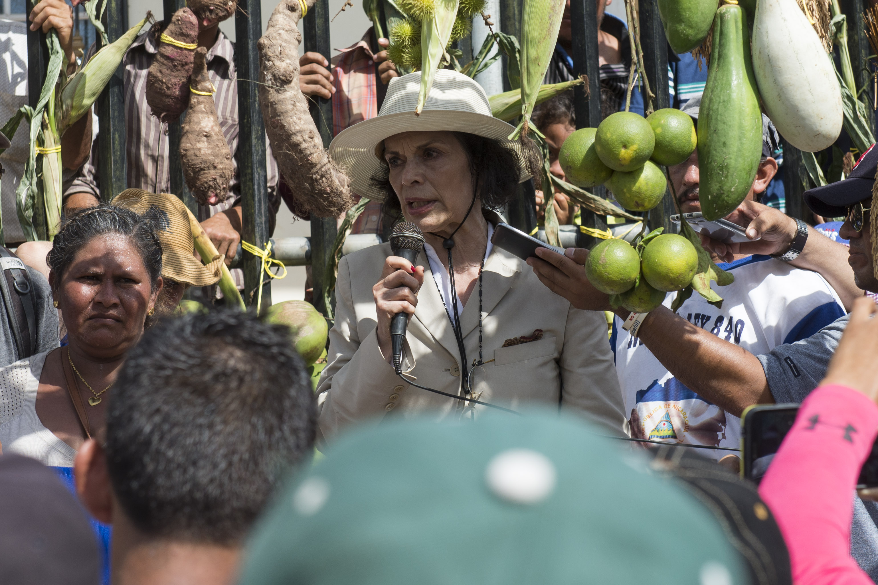 Marcha anticanal, Binaca Jagger