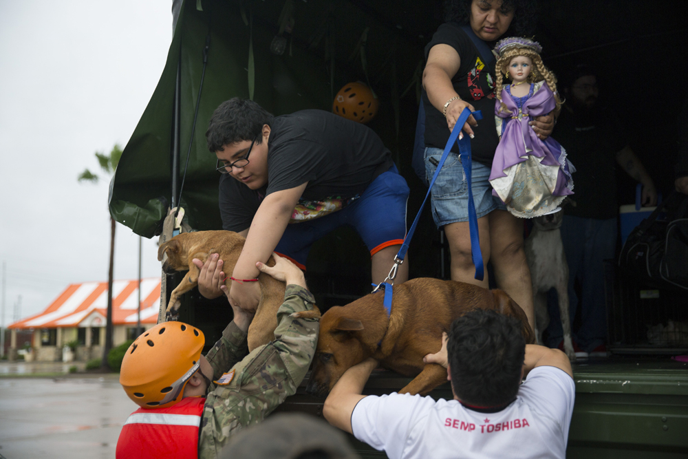 Harvey, Huracán Harvey, Houston, Texas