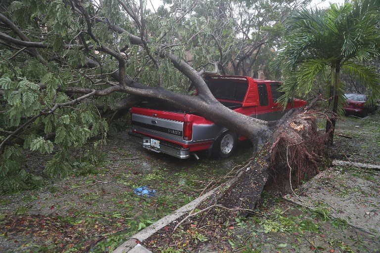 Irma, Huracán Irma, Florida,
