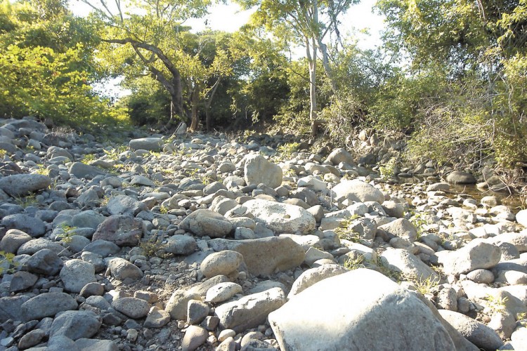 ambiente, acuerdo de paris, cambio climático, Nicaragua