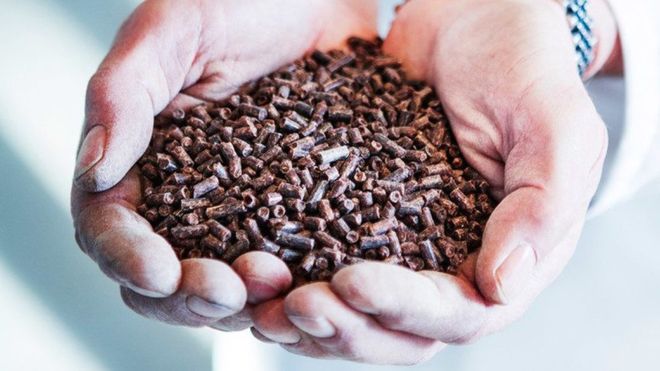 El ingenioso método para crear alimentos a partir de bacterias y metano