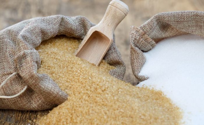 Sector azucarero proyecta crecer en producción