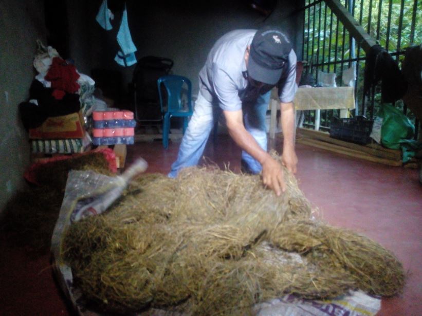 Productores de Estelí se quedaron sin granos por lluvia