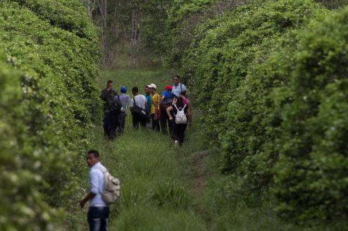 Nicaragüenses en EE.UU. tienen hasta el 13 de febrero para ampliar su TPS