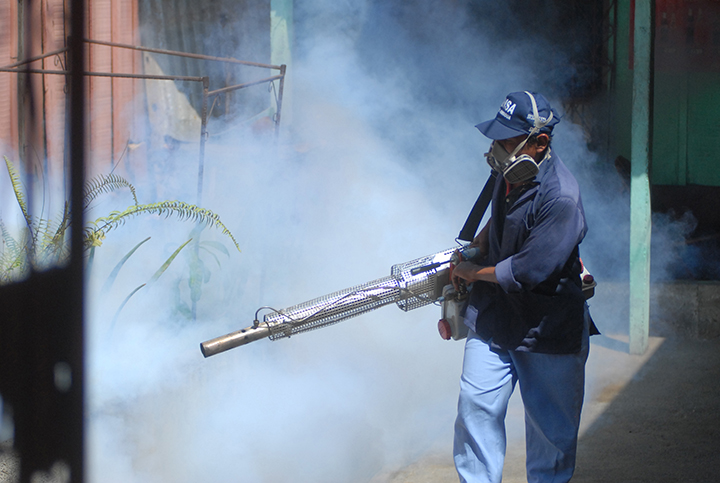 Habrá más zancudos en diciembre, dice epidemiólogo