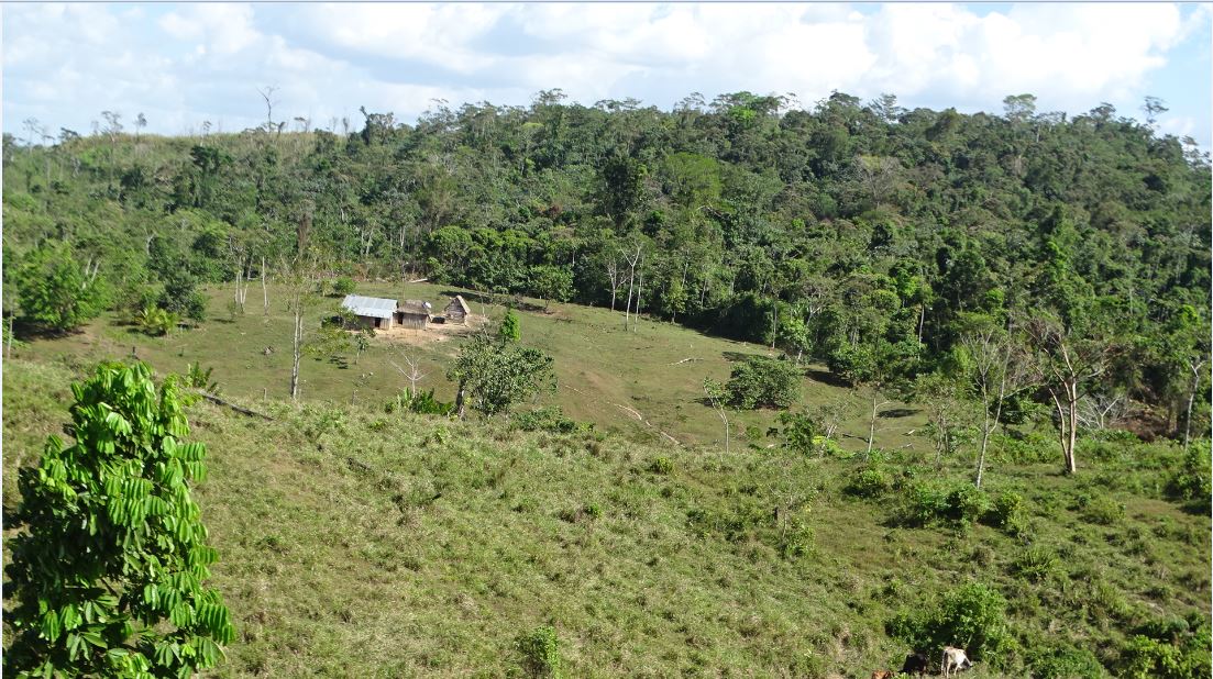Indígenas entregan a ocho colonos en Bonanza