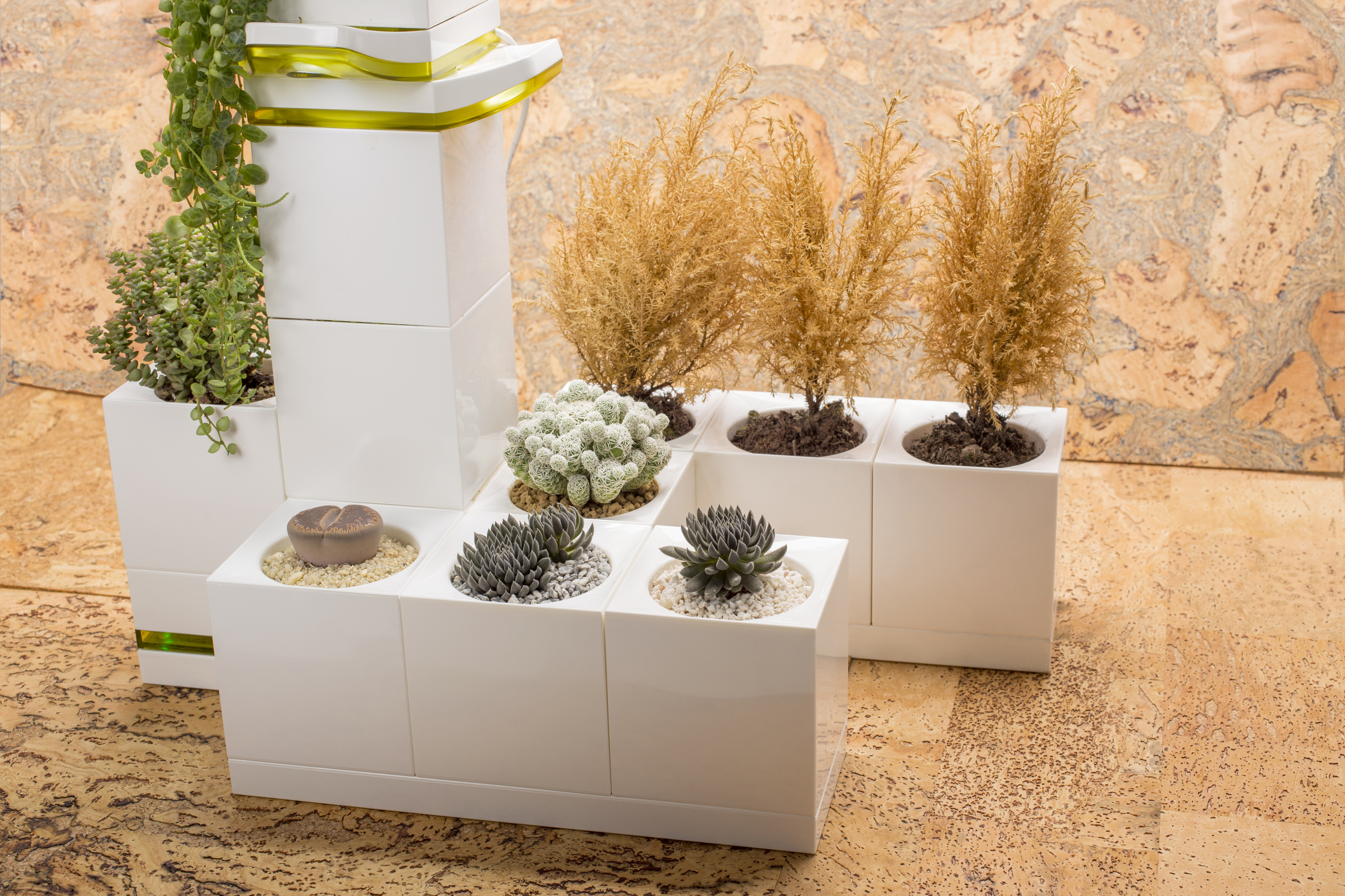 El jardín inteligente que querrás tener