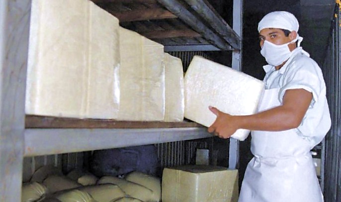 Se buscan nuevos mercados para el queso nicaragüense, aquí le explicamos por qué