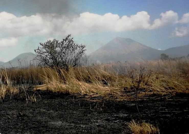 Depredadores ambientales no son castigados por la ley en Nicaragua