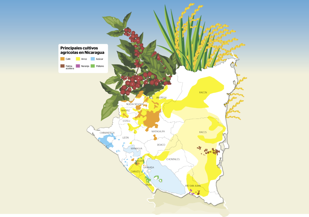Este mapa muestra la producción agrícola de Nicaragua por departamento