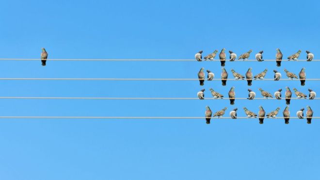 ¿Qué se puede hacer para combatir la epidemia de soledad del siglo XXI?