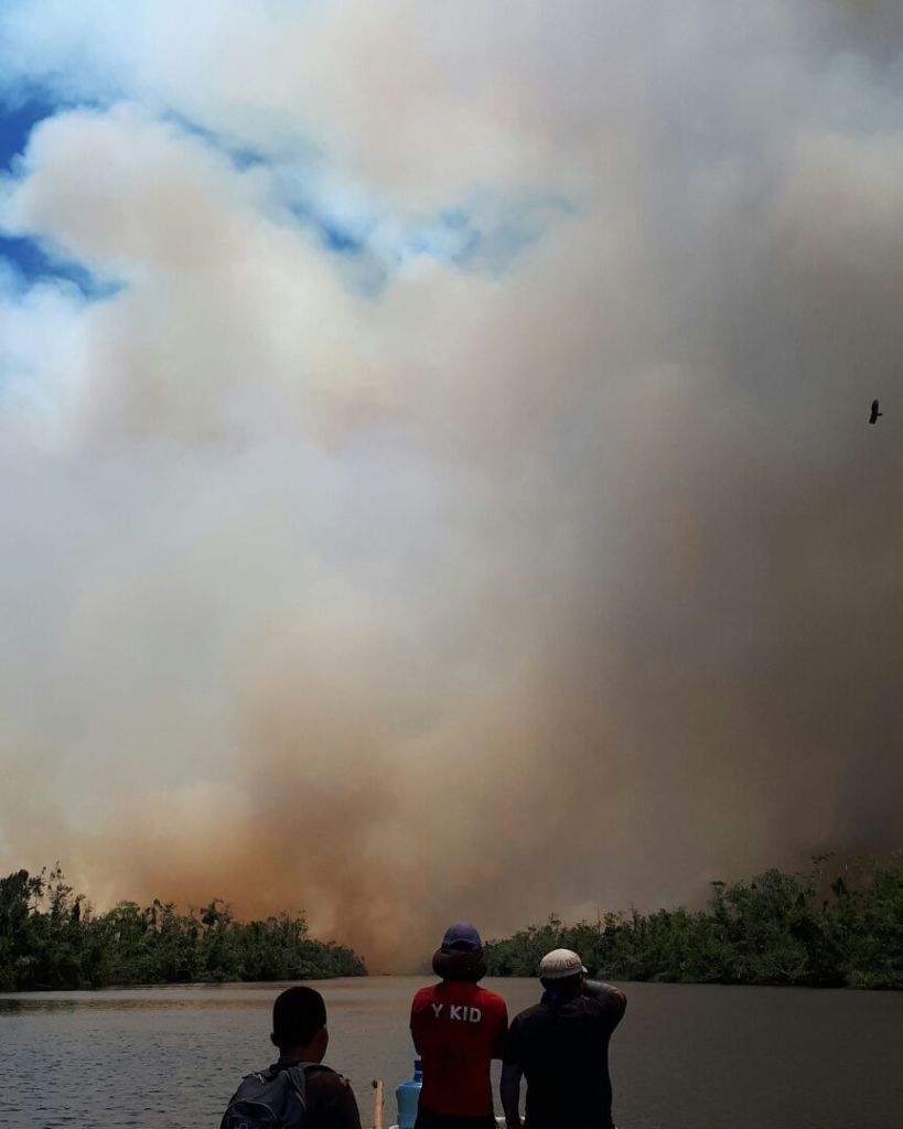 incendio en indio Maíz, Incendio en la reserva indio maís, Indio Maíz