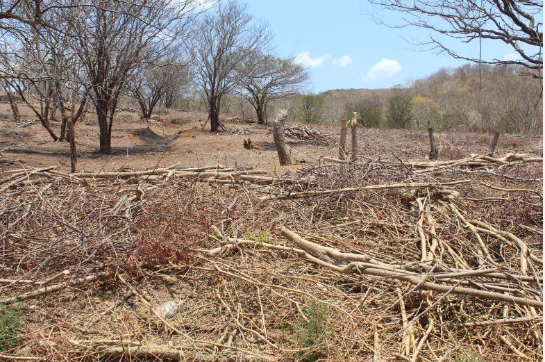 Pobladores reclaman tierras en el Astillero, Rivas