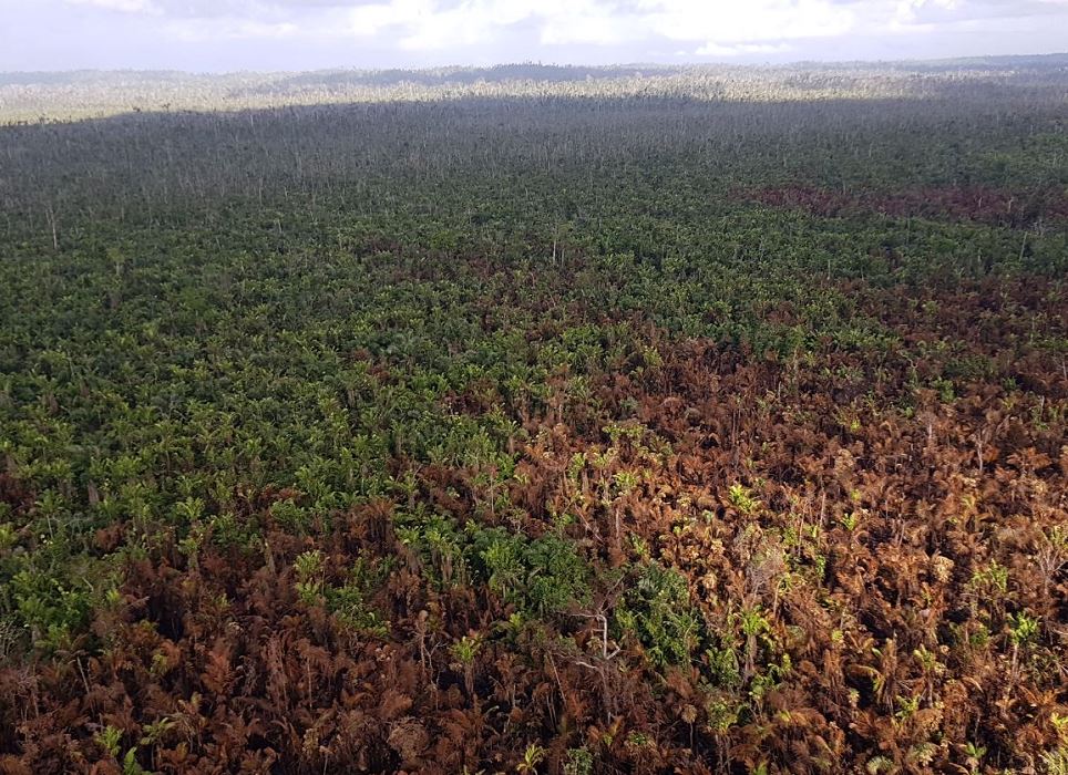 Indígenas piden participación para resguardar la Reserva Indio Maíz