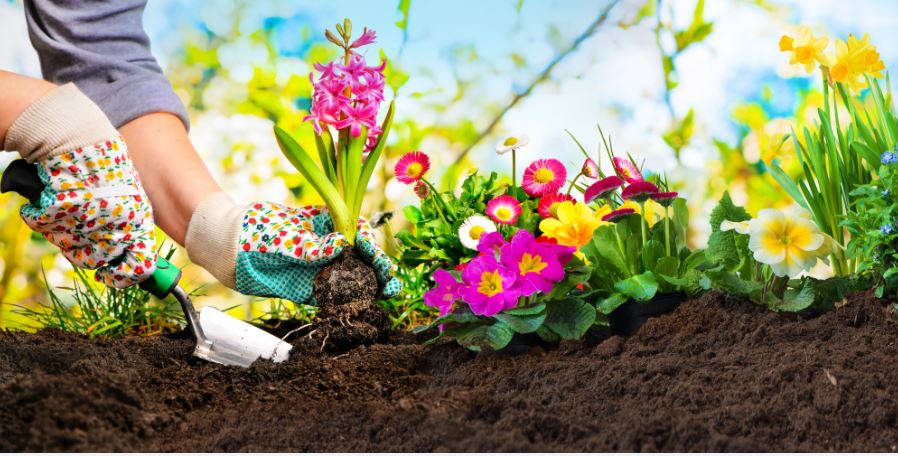 Ocho beneficios de tener un jardín en casa