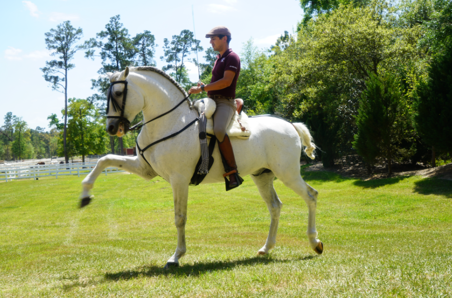 Jorge Arauz, un jinete sin límites y referente de Nicaragua en ecuestre