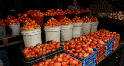 Legumbres continúan subiendo de precio en los mercados de Managua