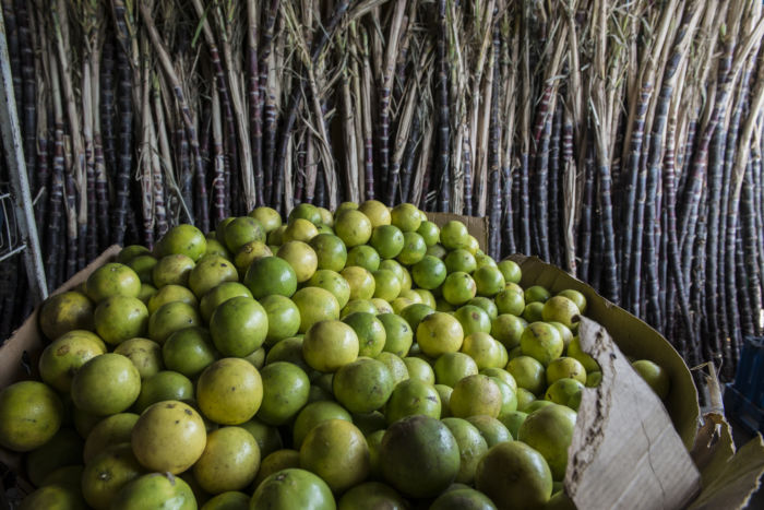 Galería | La tradicional “gorra” de la Gritería