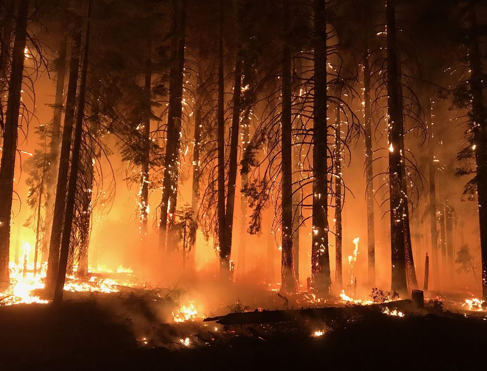 Incendios en California dejan 77 muertos y más de 900 desaparecidos