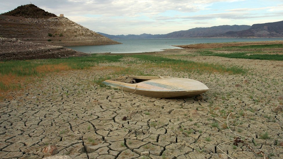 Se filtra documento de la ONU que revela devastación en la tierra en los próximos 30 años por cambio climático - Vimarsana News