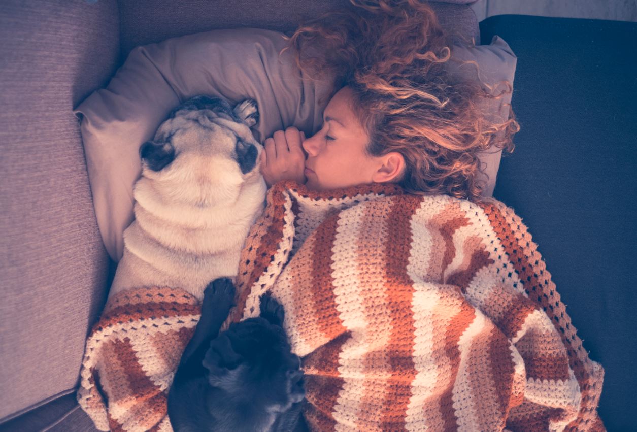 ¿Por qué ellas prefieren dormir con perros?