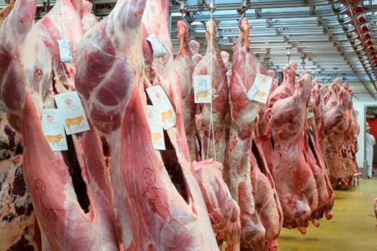 Mercado de Venezuela se desvanece, mientras Estados Unidos crece